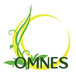 My Website